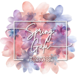 Wildwood Spring Gala