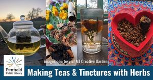 Making Tinctures and Teas with Wild Herbs and Mushrooms