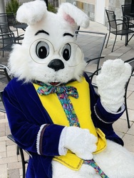 Easter Bunny Photos