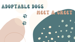 Adoptable Dogs Meet and Greet at Oak Creek Public Library
