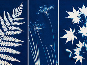 Making Together: Spring Cyanotypes