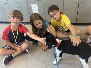 Summer Camp at the Wisconsin Humane Society Racine Campus
