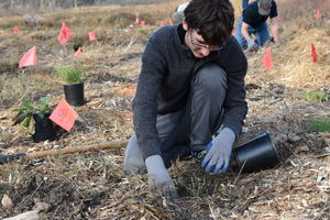 Volunteer Restoration Event | Nature Collective