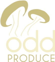 Eat the Neighborhood: Foraging Walk -- Whiting, Indiana