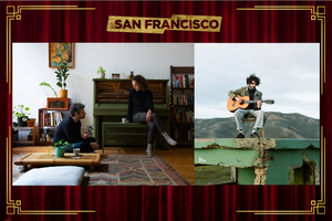 Evening with Late Aster and Elbows