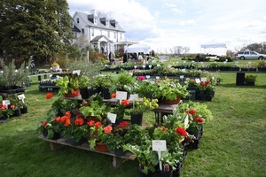 Spring Garden Market at River Farm
