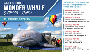 Walk-Through Wonder Whale & Fossil Show