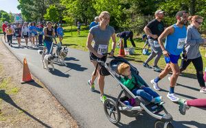 Mystic River Herring Run and Paddle