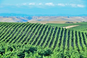 Brianza Wine Series: Santa Barbara County, CA