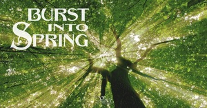 Burst Into Spring!