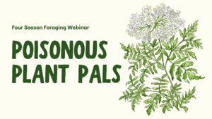 Poisonous Plant Pals Webinar