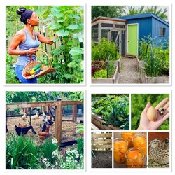 Micro Farming: Small Spaces, Big Impact