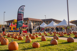 Oak Bank's Great Pumpkin Give Away