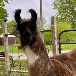 FREE Open House at Black Frog Farm