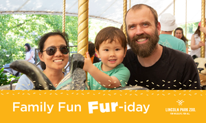 Family Fun Fur-iday at Lincoln Park Zoo