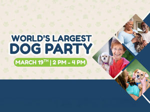 The World's Largest Dog Party Is Coming to San Francisco on March 19!