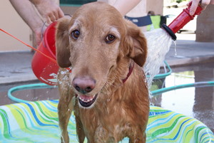 ReThinc Rescue Rinse