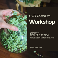 Create Your Own Terrarium Workshop