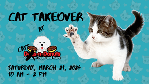 Cat Takeover at Dogs-n-Donuts