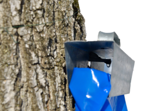 Maple Sugarin’ Festival