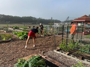 Brandon Seeds of Faith Community Garden invites you to visit