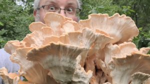 Eat the Parks: Foraging and Nature Walk - Lincoln Park Zoo