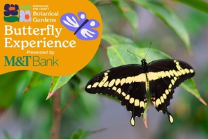 Butterfly Experience at the Botanical Gardens