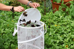 Butterfly Release at the Botanical Gardens