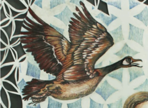 Feathered Forms: A Bird Sketching Workshop with Local Artist Jennifer York