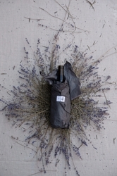 La Mar Bellevue x Sagebreaker & Trothe Wines with La Mar Bellevue