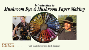 Introduction to Mushroom Dye and Mushroom Paper Making