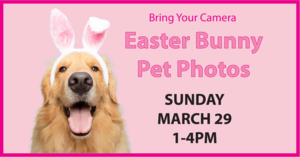 🐰 Paws-itively adorable