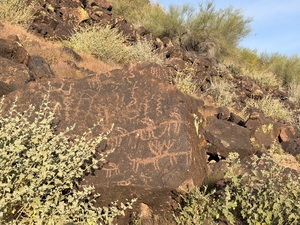 Then and Now: Inventories of the Hedgpeth Hills Petroglyphs in 1980 and 2025