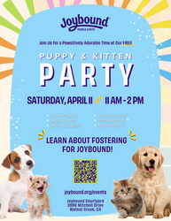Joybound Puppy and Kitten Party