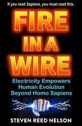 Fire in a Wire: How Electricity Is Giving Rise to a New Species of Human