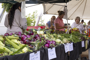 Pig Roast at the Fitchburg Farmers Market