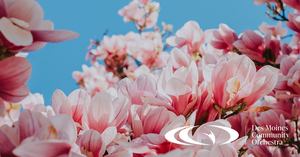 Spring Concert: Mozart and Motherhood- A Tribute