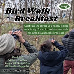 Bird Walk Breakfast
