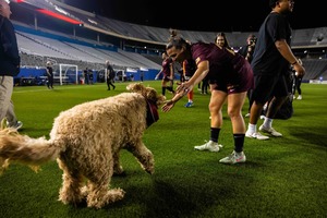 Pups at the Pitch Match vs. Lexington SC