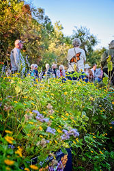 Coffee & Conversation: Planting a Pollinator Garden