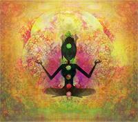 Chakra Lab: Experiments in Embodied Energy