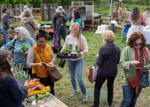 Fibershed's Spring Market