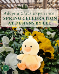 Spring Celebration at Designs by Lee