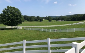 Open Day at New Pond Farm Education Center!
