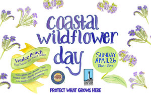 Coastal Wildflower Day