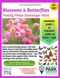 Family Photo Scavenger Hunt: Blossoms & Butterflies