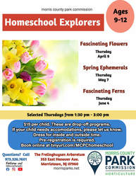 Homeschool Explorers:  Fascinating Ferns