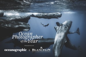 Ocean Photographer of the Year Exhibit – Alameda Exhibition