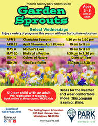 Garden Sprouts: Colors of Nature