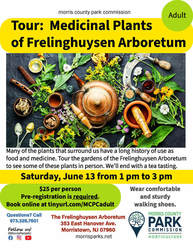 Tour: Medicinal Plants of Frelinghuysen Arboretum
